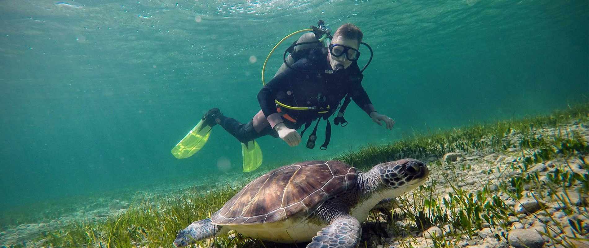 Interview with the Owner of CyDive: From Father to Son, Guided by the Sea