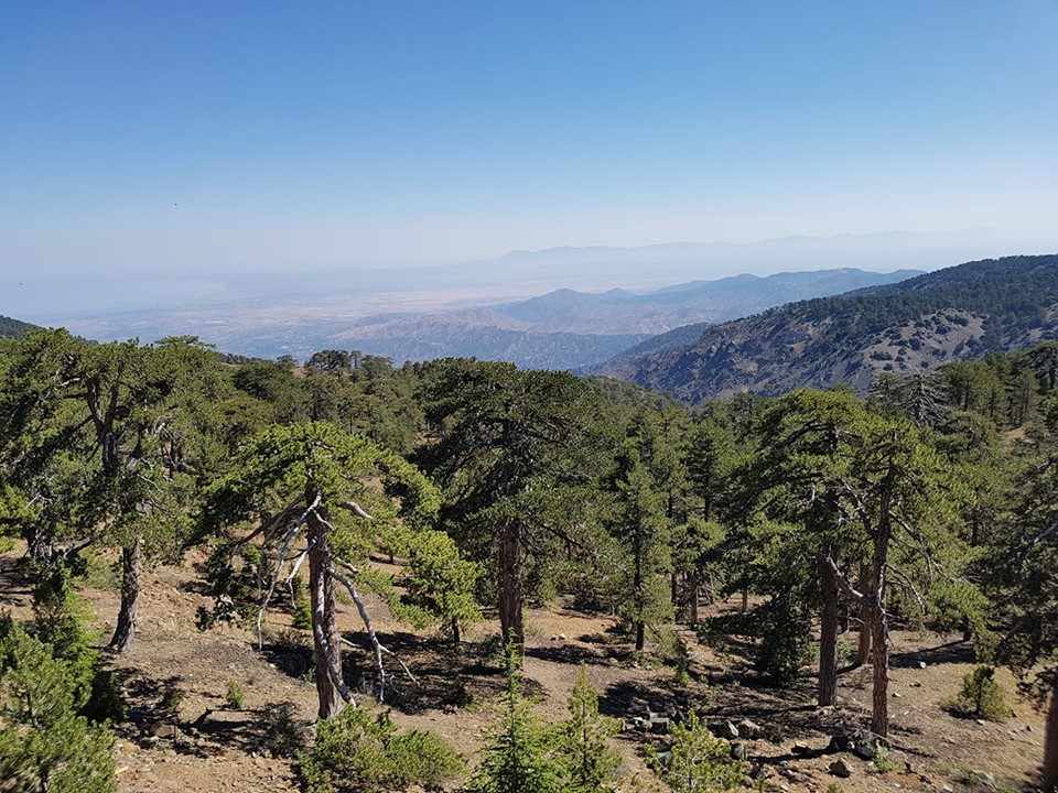 Τρόοδος: Μοναδικό παγκόσμιο γεωλογικό φαινόμενο