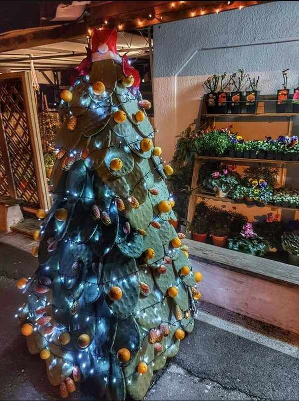 Ίσως το πιο πρωτότυπο χριστουγεννιάτικο δέντρο που είδαμε φέτος