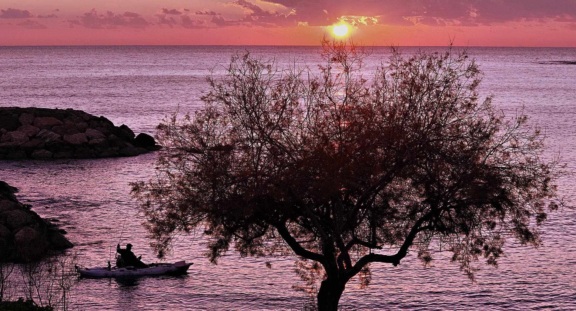 Έκθεση Φωτογραφίας 