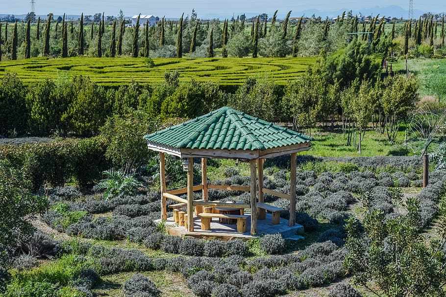 Αυγόρου: Βραβείο Καινοτομίας στο Βοτανόκηπο Cyherbia