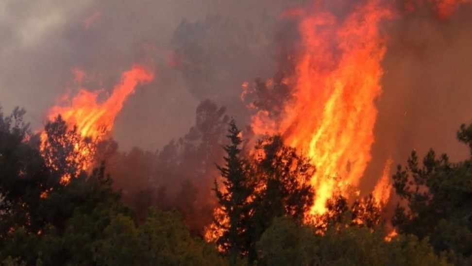 Πυρκαγιά στην Δρούσεια