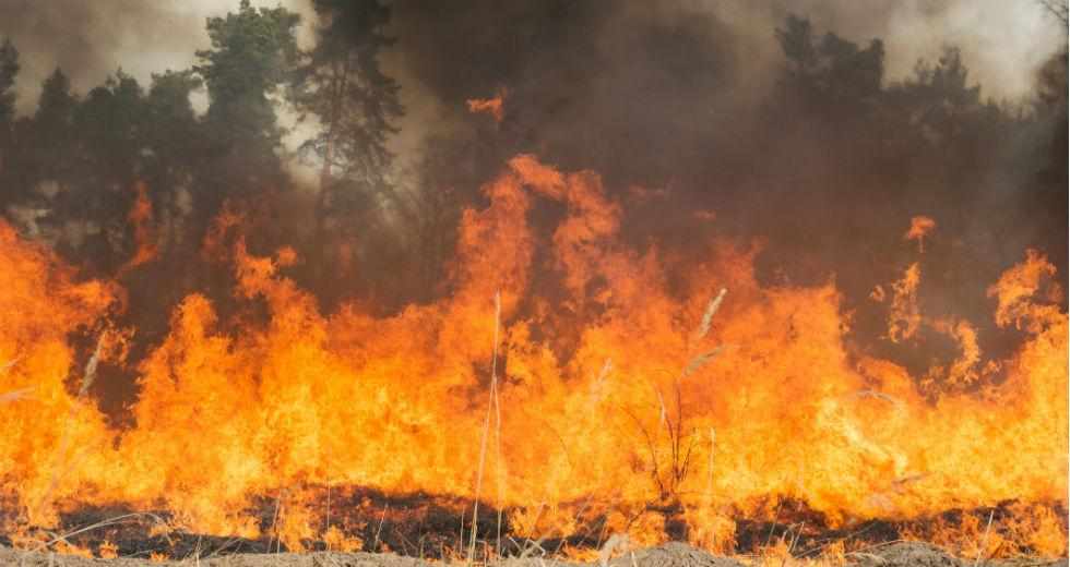Στο κόκκινο ο συναγερμός για πυρκαγιές