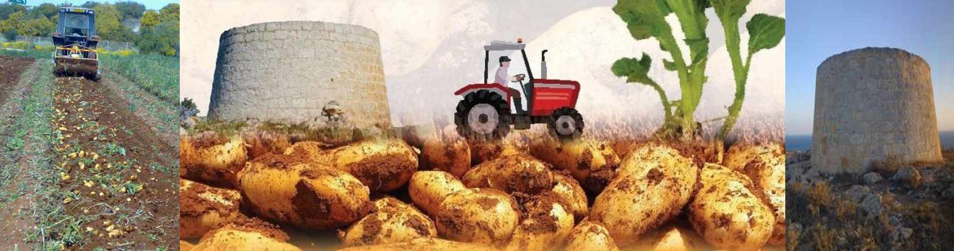 Γεωργοκτηνοτροφική Έκθεση στο πλαίσιο του Φεστιβάλ Πατάτας Ξυλοφάγου
