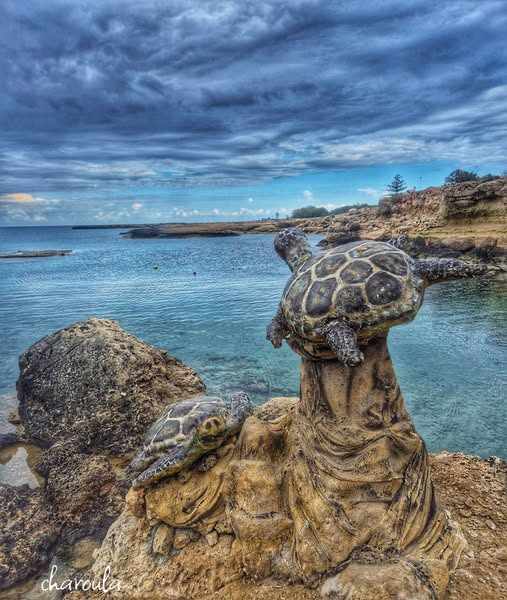 Discover a unique adventure in Ayia Napa