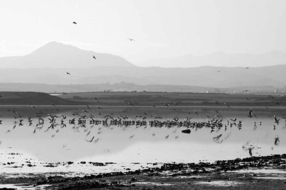 Larnaka Salt Lake