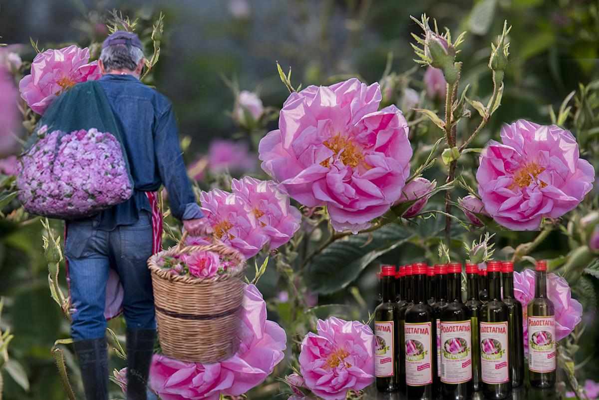 Περίφανος ο Αγρός