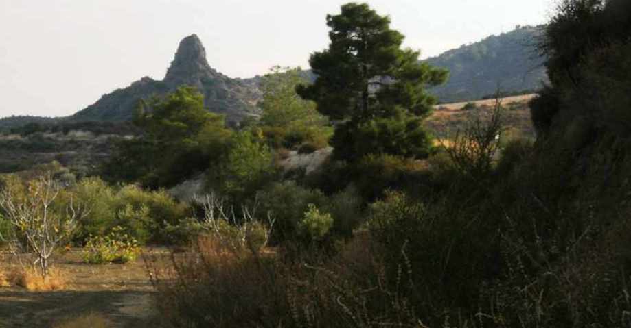 Ο «Κούρβελλος» στα Λεύκαρα
