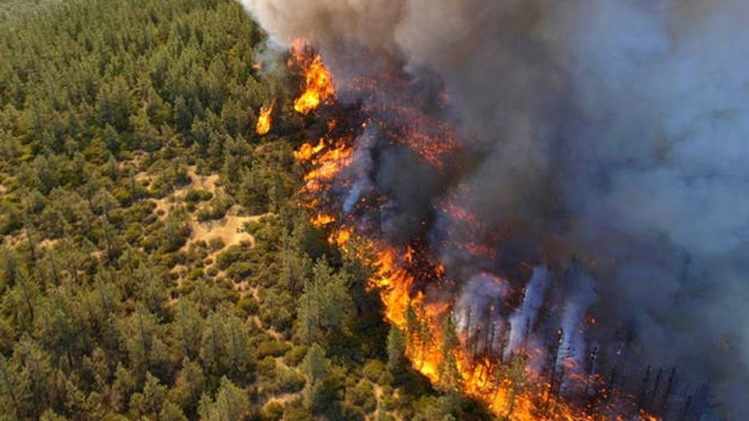 Υπό 8ημερη κράτηση ο 67χρονος για την πυρκαγιά