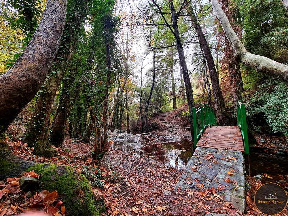 5 Road Trips για Εξερεύνηση στην Κύπρο
