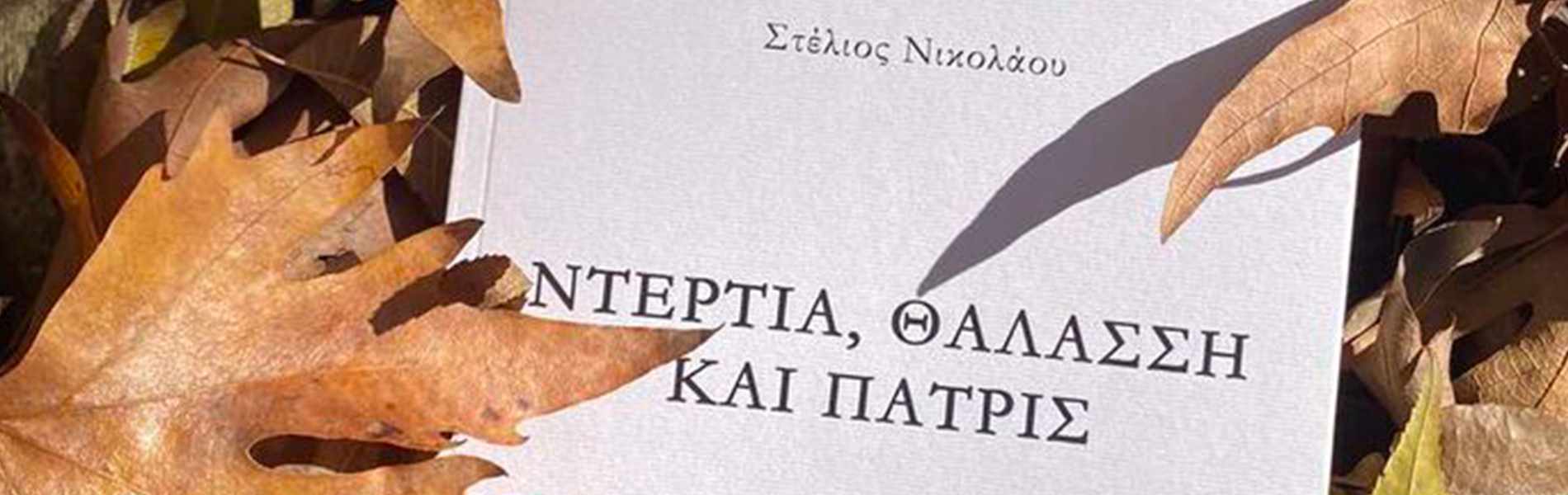Στέλιος Νικολάου