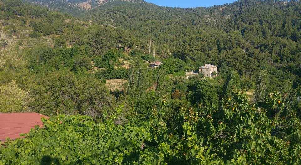 Παλιόμυλος Λεμεσού