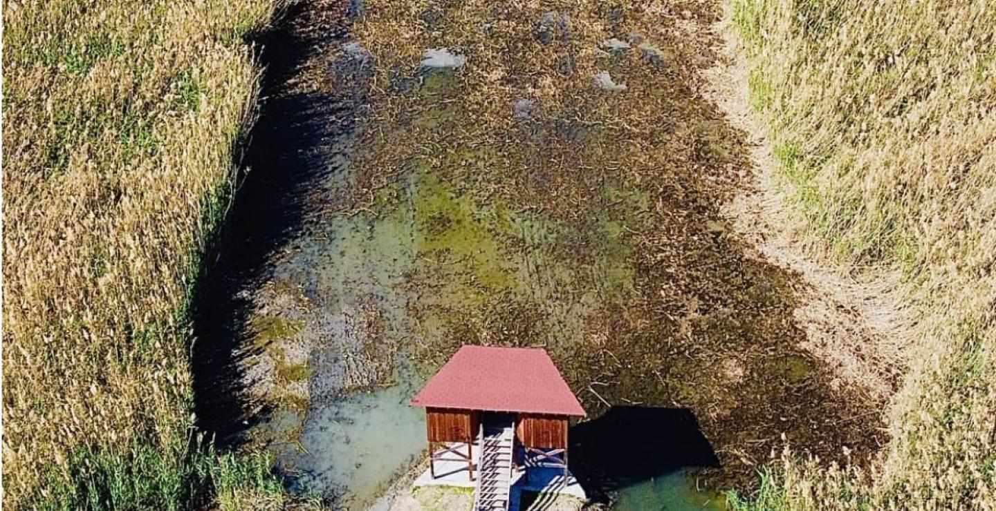 Μια εξόρμηση για παρατήρηση πουλιών στη λίμνη Μακριά
