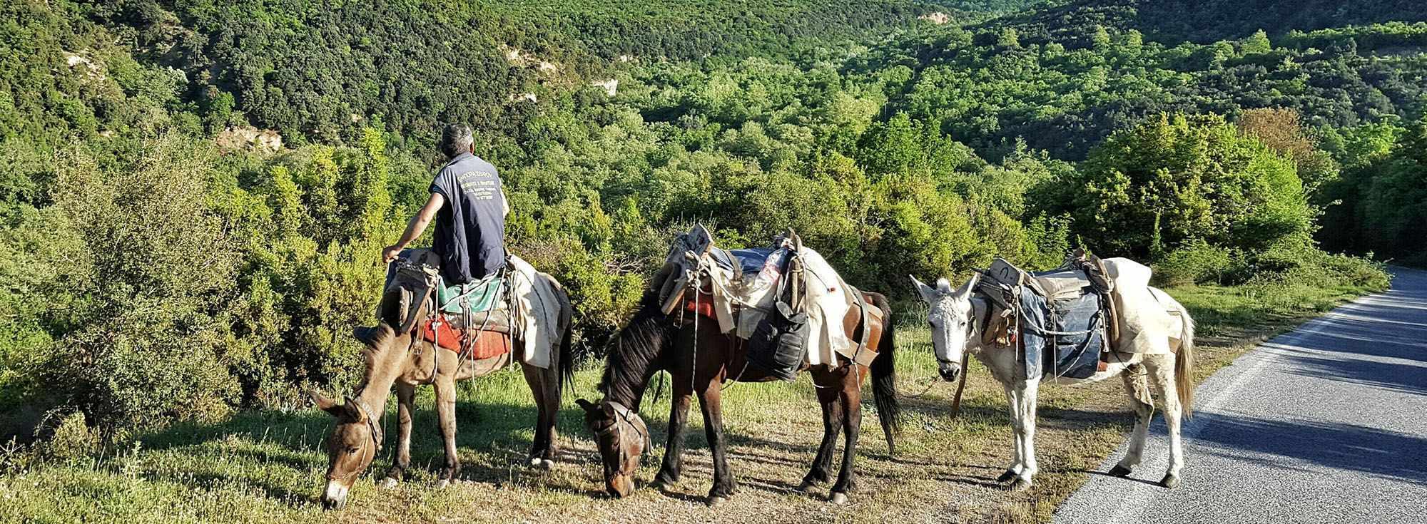 Traditional Cyprus