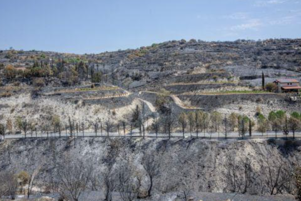 Στήριξη πληγέντων από πυρκαγιά στην Λεμεσό