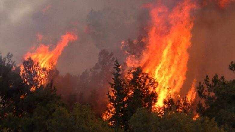 Η πρώτη εκτίμηση για την έκταση της καμένης γης