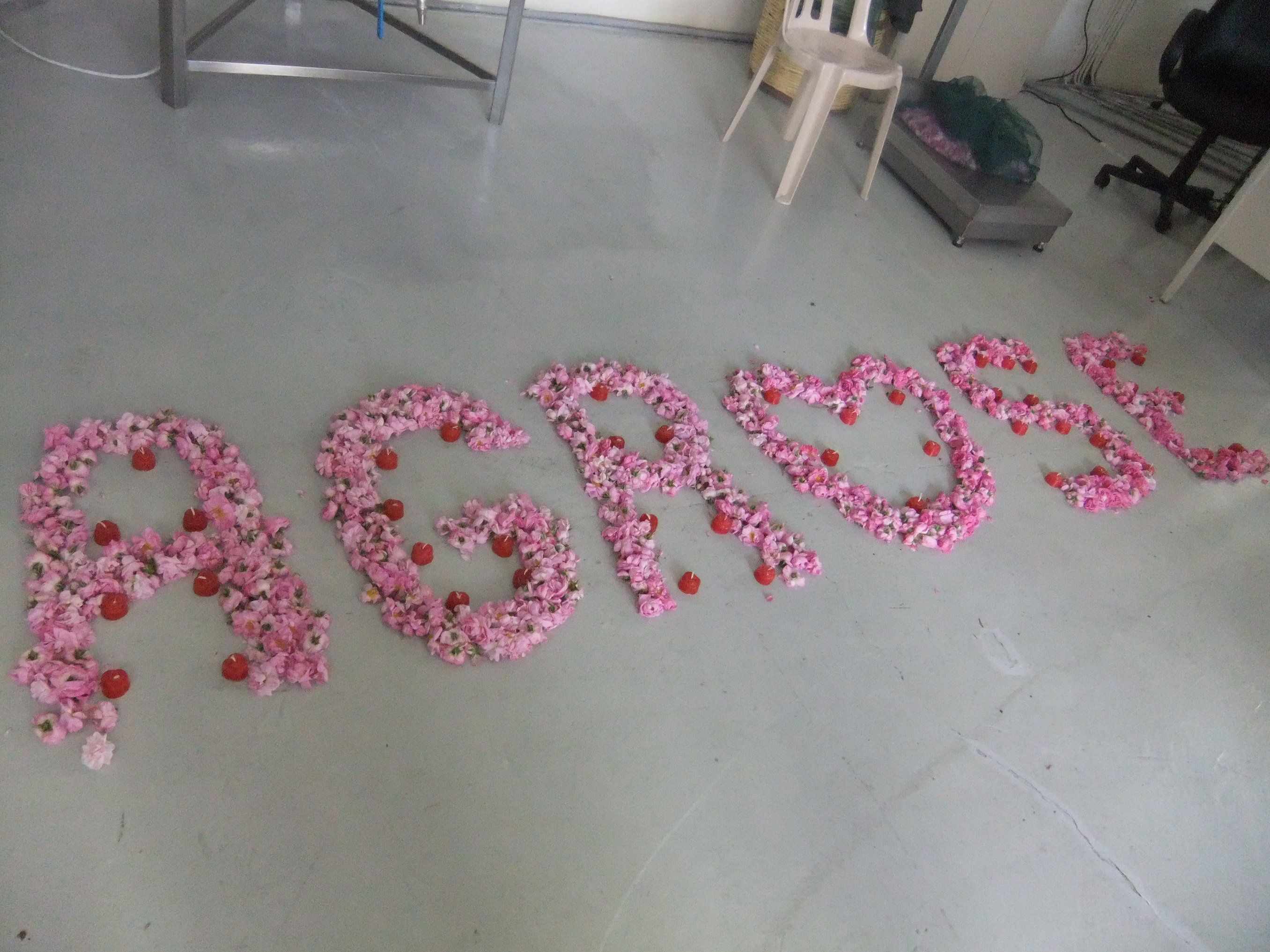 Rose Festival in Agros Village