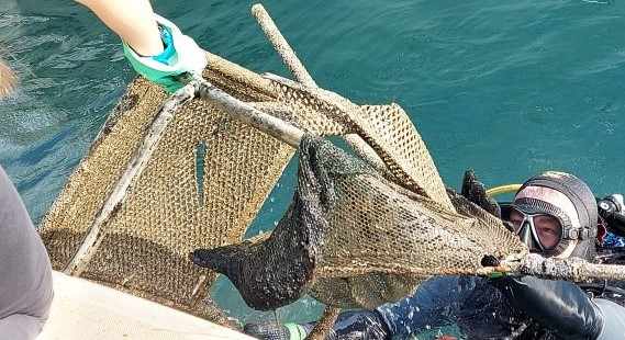 Εκστρατεία καθαρισμού βυθού και παραλίας Λάρνακας