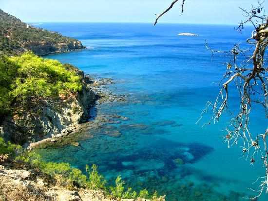 Who knows Cyprus better than the locals?