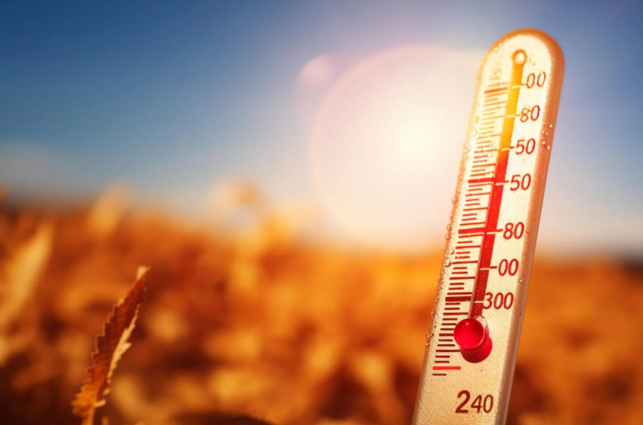 Στους 40°C σήμερα η Κύπρος