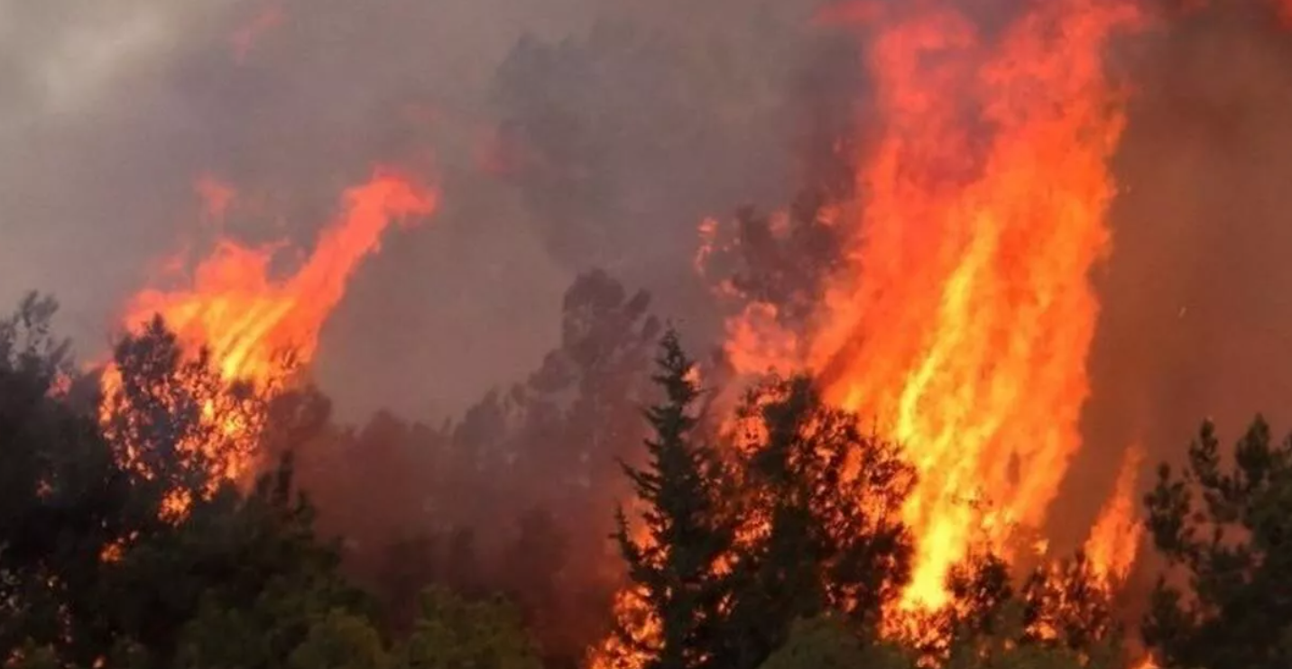 Από μια απροσεξία... στις φλόγες
