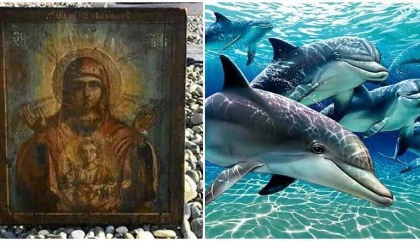 Κοπάδι Δελφινιών ανέσυρε στην ακτή Εικόνα Της Παναγίας