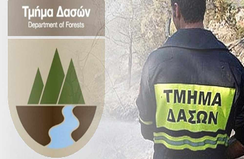 Τμ.Δασών:Απουσία ολοκληρωμένου Στρατηγικού Σχεδίου για πυρκαγιές