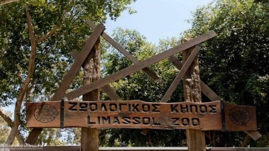 Η Λεμεσός αποχαιρετά τον Ζωολογικό της Κήπο