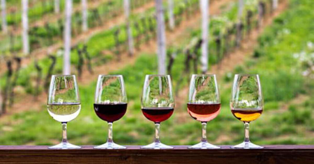Makkas Winery