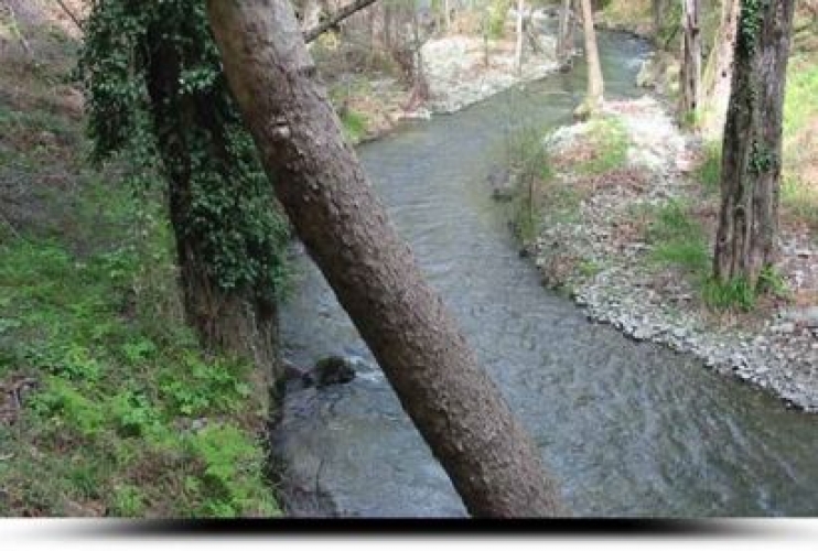 Platy Valley