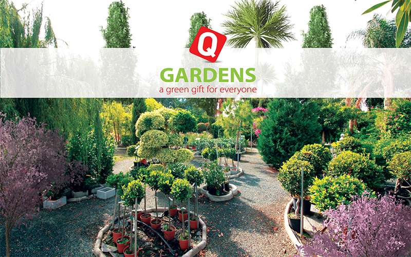 Q Gardens