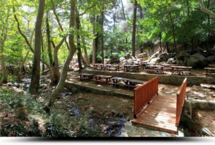 Troodos National Forest Park